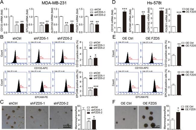 CD326 (EpCAM) Antibody in Flow Cytometry (Flow)