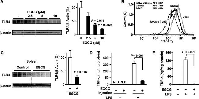 TLR4/MD-2 Complex Antibody in Flow Cytometry (Flow)