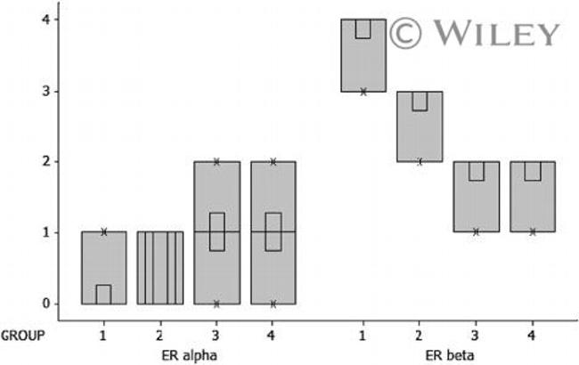 Estrogen Receptor alpha Antibody in Immunohistochemistry (IHC)