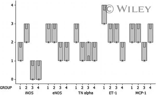 Endothelin 1 Antibody in Immunohistochemistry (IHC)