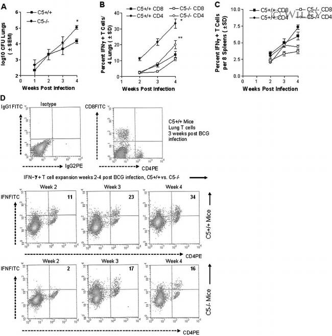 CD4 Antibody in Flow Cytometry (Flow)