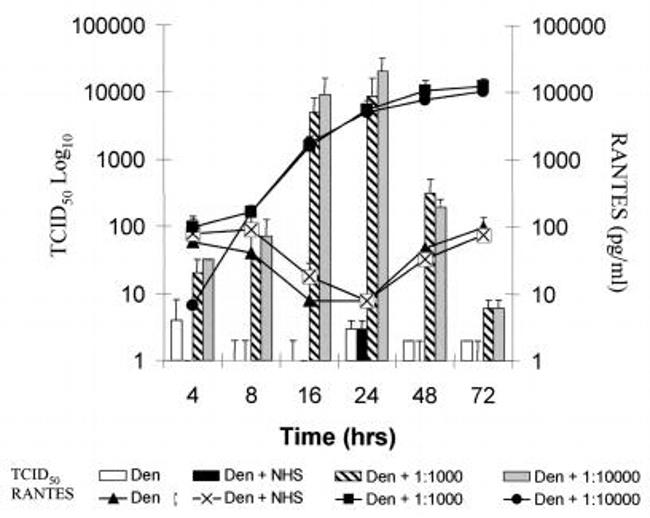 CCL5 (RANTES) Antibody in ELISA (ELISA)