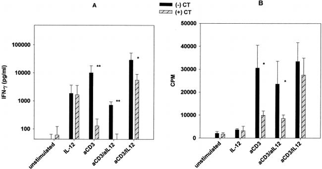 IFN gamma Antibody in ELISA (ELISA)