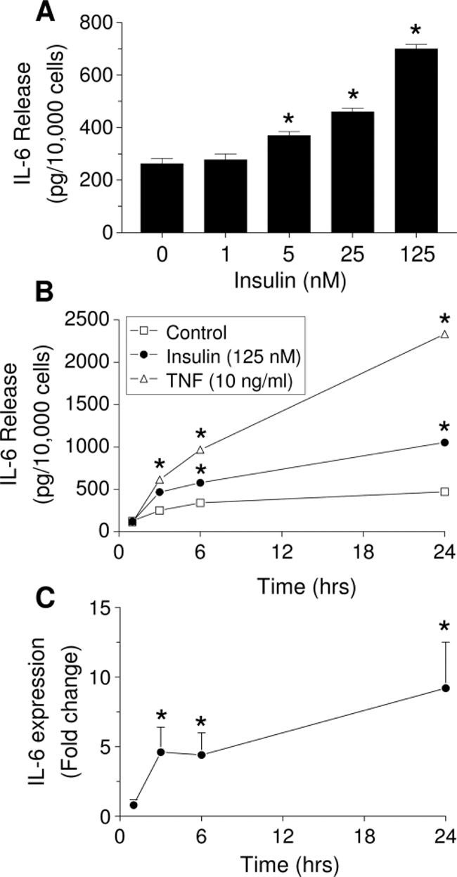 IL-6 Antibody in ELISA (ELISA)