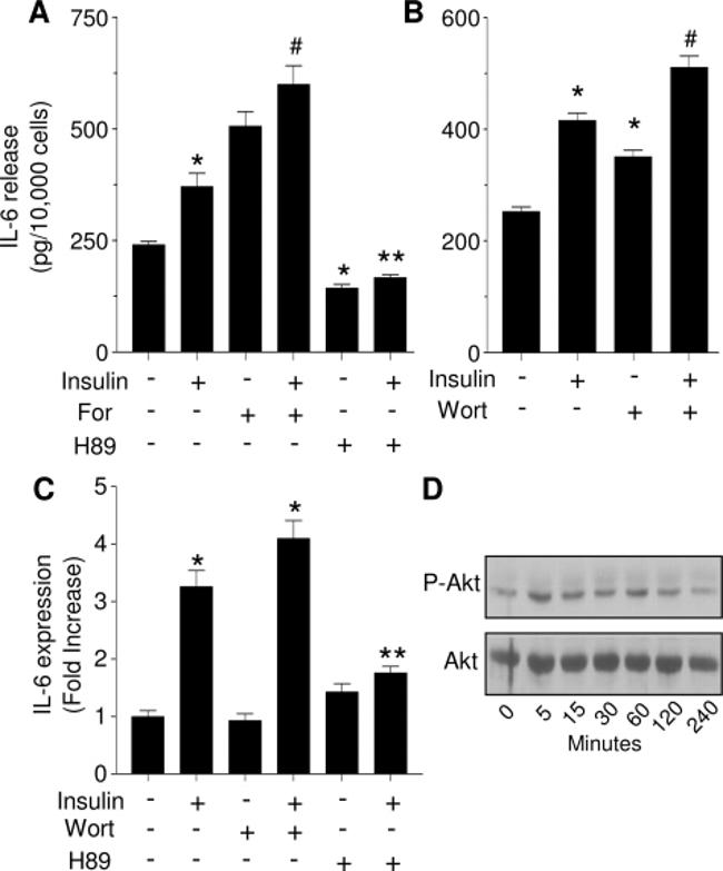 IL-6 Antibody in ELISA (ELISA)