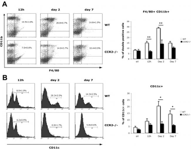 F4/80 Antibody in Flow Cytometry (Flow)