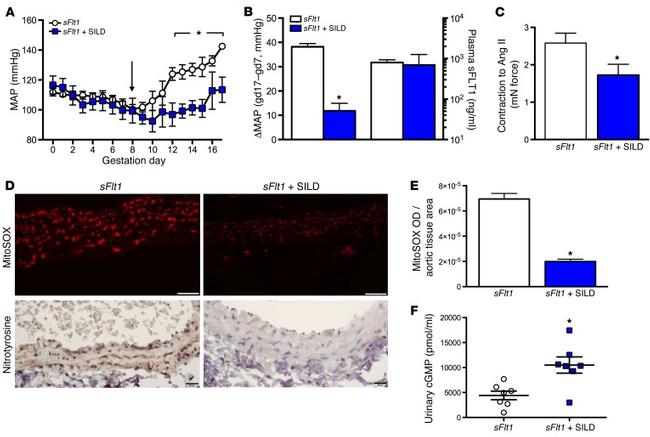 Nitrotyrosine Antibody in Immunohistochemistry (IHC)