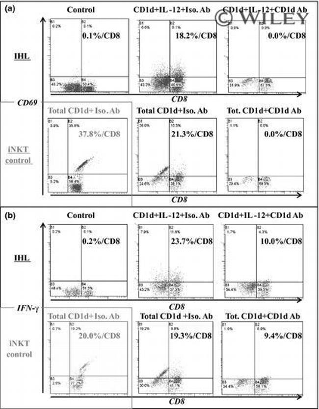 CD8a Antibody in Flow Cytometry (Flow)