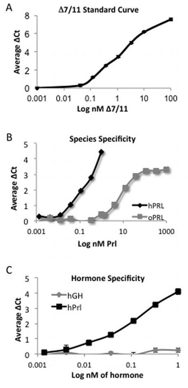 Prolactin Receptor Antibody in Proximity Ligation Assay (PLA) (PLA)