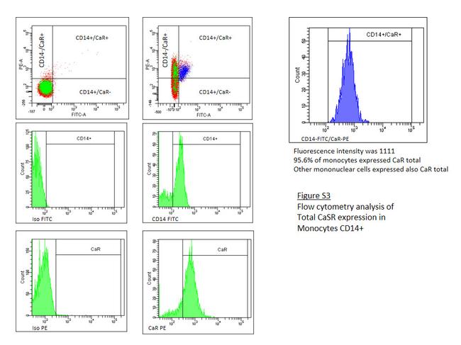 Calcium Sensing Receptor Antibody in Flow Cytometry (Flow)