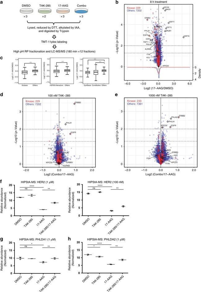 PHLDA2 Antibody in ELISA (ELISA)