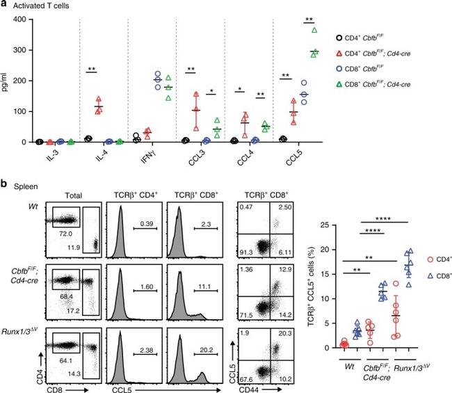 CCL4 Antibody in ELISA (ELISA)