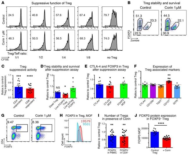 CD4 Antibody in Flow Cytometry (Flow)