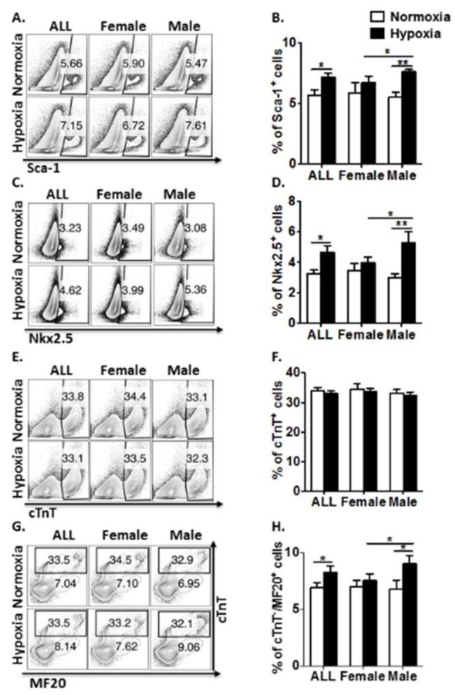 Nkx2.5 Antibody in Flow Cytometry (Flow)