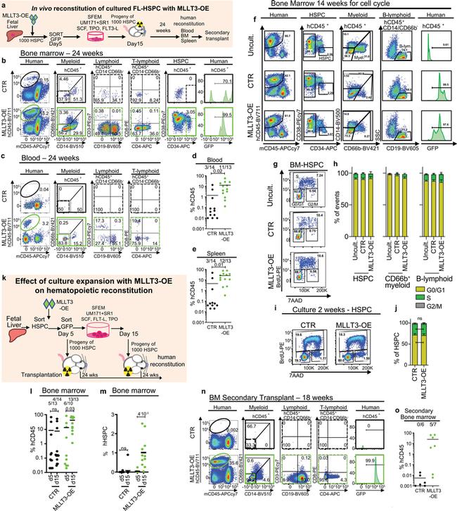 CD4 Antibody in Flow Cytometry (Flow)