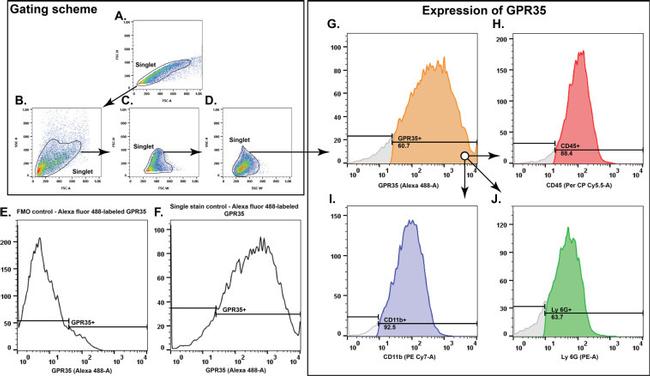 GPR35 Antibody in Flow Cytometry (Flow)