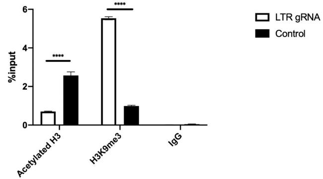 H3K9me3 Antibody in ChIP Assay (ChIP)