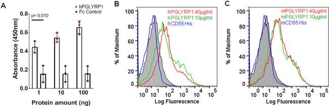 6x-His Tag Antibody in Flow Cytometry (Flow)