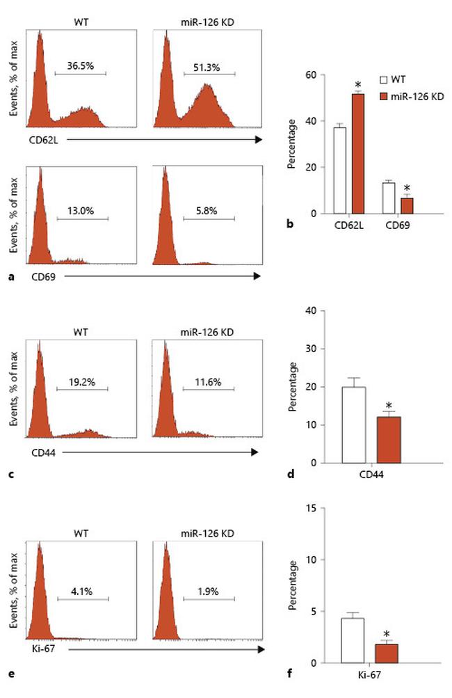 CD62L (L-Selectin) Antibody in Flow Cytometry (Flow)