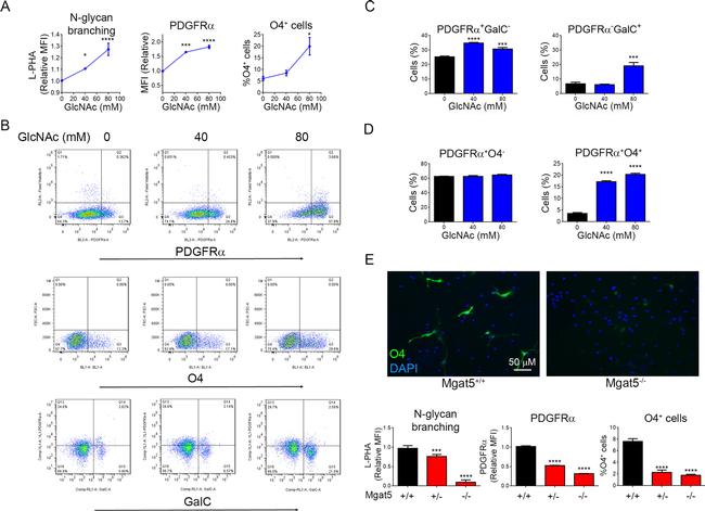 PDGFRA Antibody in Flow Cytometry (Flow)