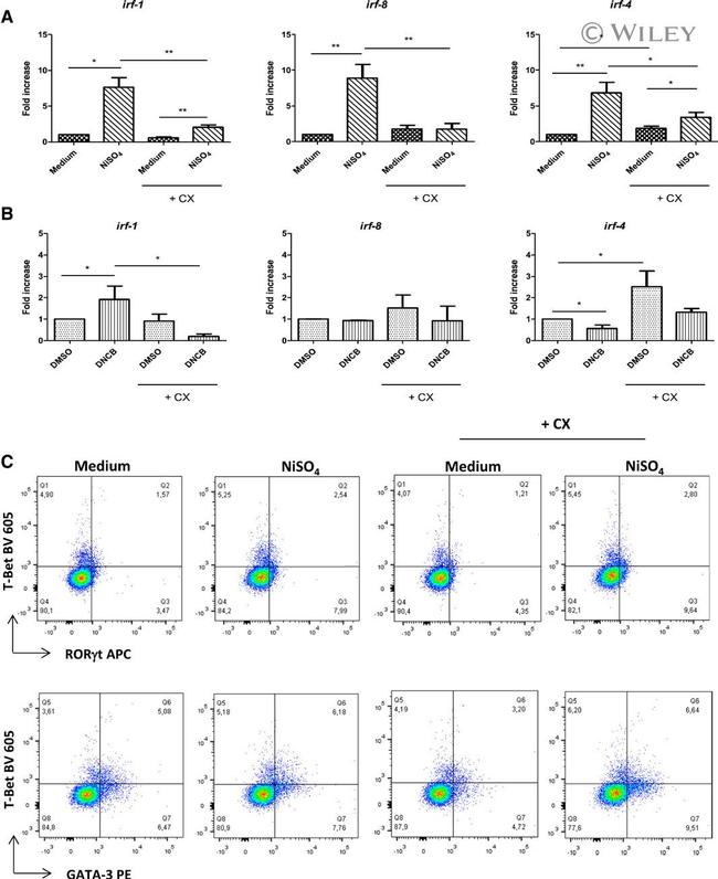 CD4 Antibody in Flow Cytometry (Flow)