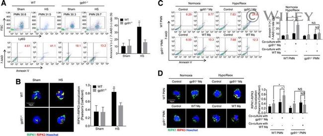 Ly-6G/Ly-6C Antibody in Flow Cytometry (Flow)