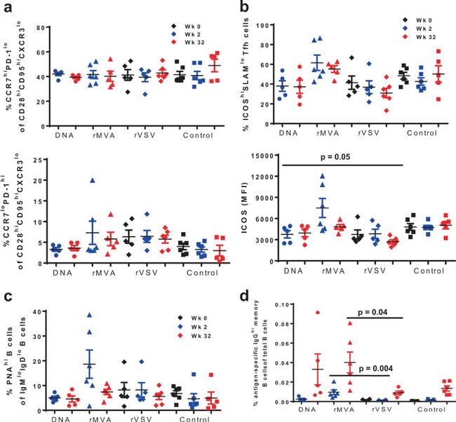 CD4 Antibody in Flow Cytometry (Flow)