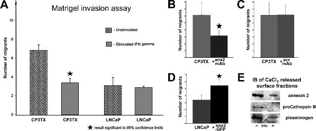 Annexin A2 Antibody in Neutralization (Neu)