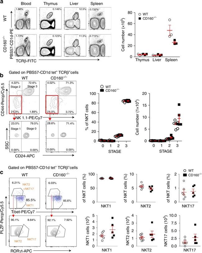 NK1.1 Antibody in Flow Cytometry (Flow)