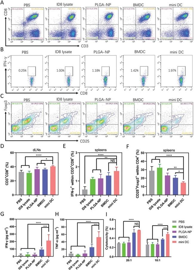 CD8a Antibody in Flow Cytometry (Flow)