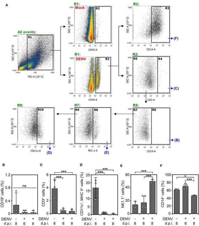 CD45 Antibody in Flow Cytometry (Flow)