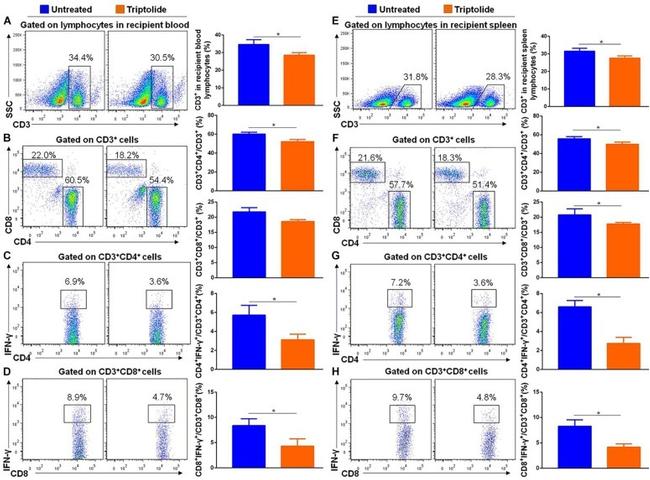 CD3 Antibody in Flow Cytometry (Flow)