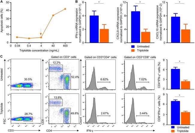 CD3 Antibody in Flow Cytometry (Flow)