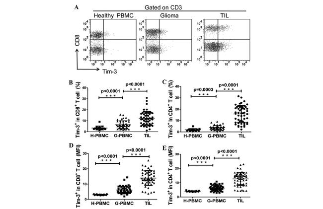 CD8a Antibody in Flow Cytometry (Flow)