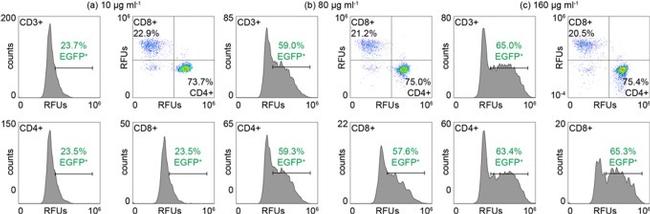 CD4 Antibody in Flow Cytometry (Flow)