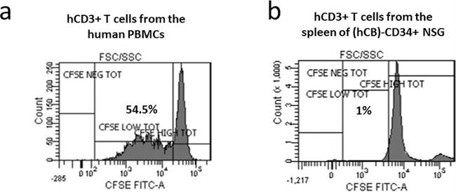 CD3 Antibody in Functional Assay (Functional)