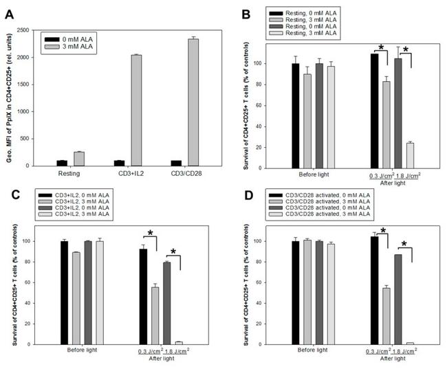 CD28 Antibody in Flow Cytometry (Flow)