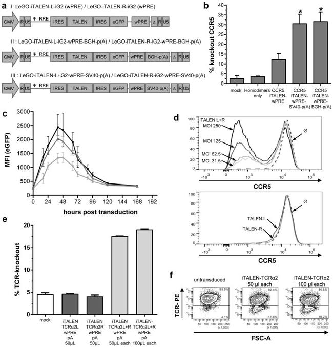 CD3 Antibody in Flow Cytometry (Flow)