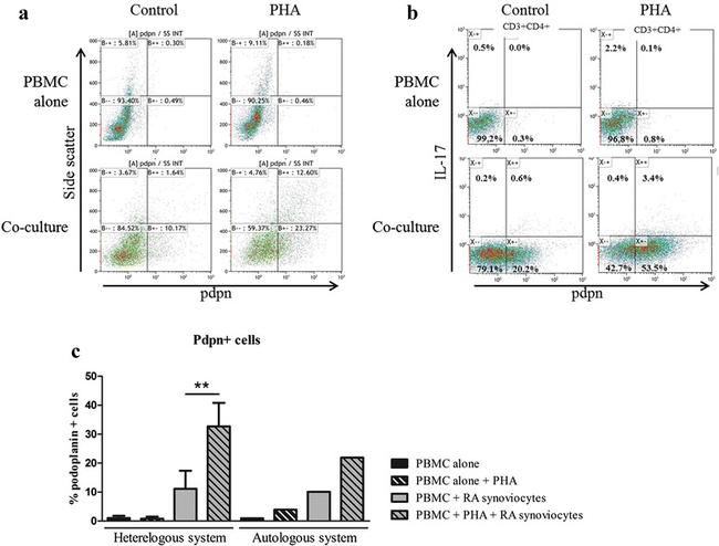 IL-17A Antibody in Flow Cytometry (Flow)