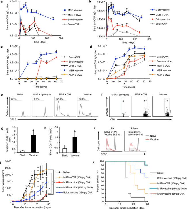 CD90.2 (Thy-1.2) Antibody in Flow Cytometry (Flow)