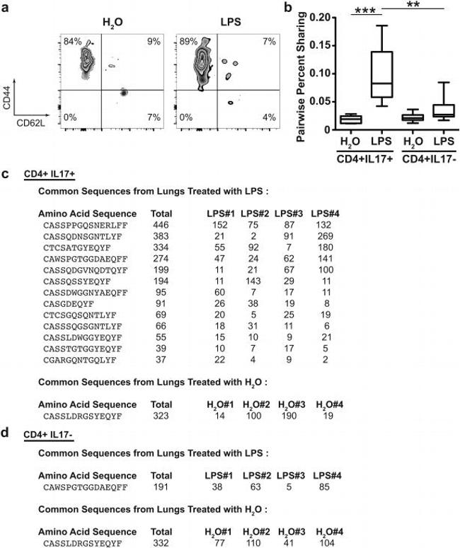 CD62L (L-Selectin) Antibody in Flow Cytometry (Flow)