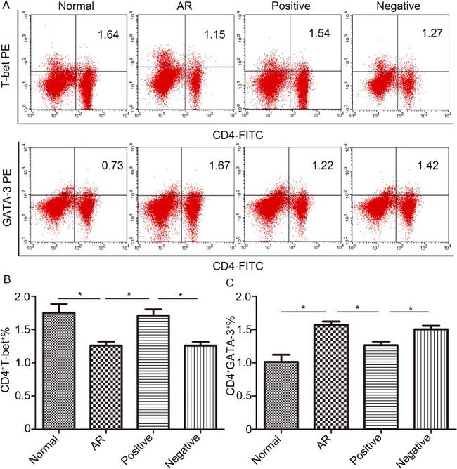 T-bet Antibody in Flow Cytometry (Flow)