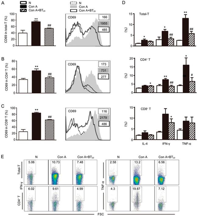 CD8a Antibody in Flow Cytometry (Flow)