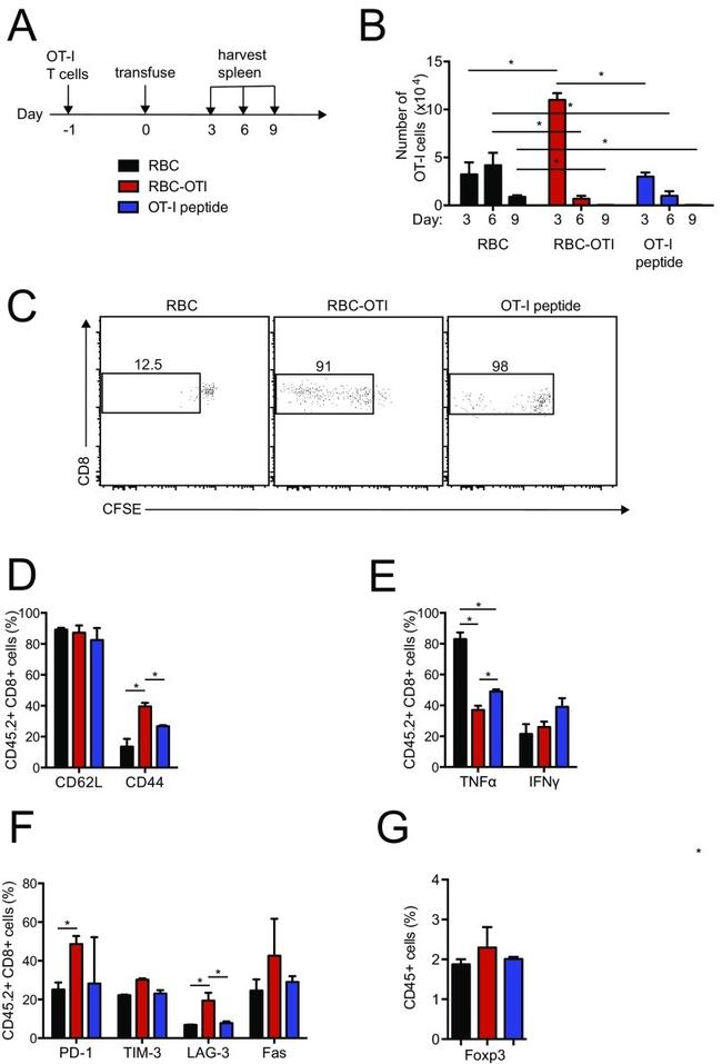 CD62L (L-Selectin) Antibody in Flow Cytometry (Flow)