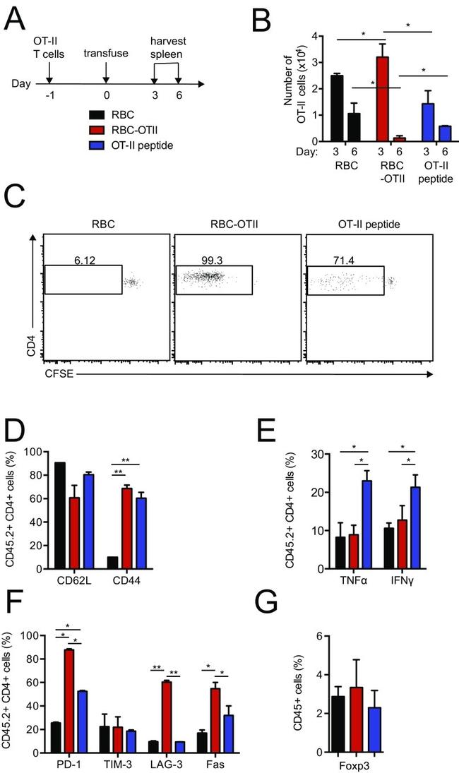 CD62L (L-Selectin) Antibody in Flow Cytometry (Flow)