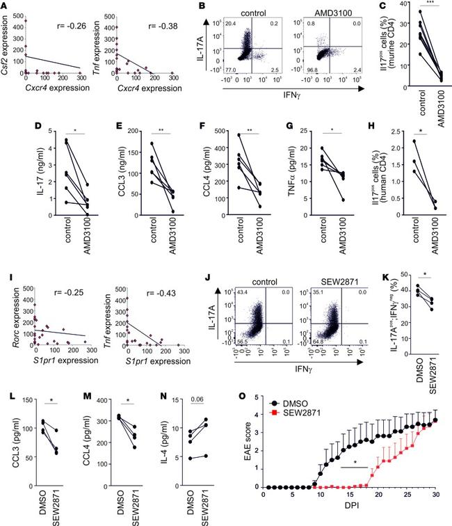 CD4 Antibody in Flow Cytometry (Flow)