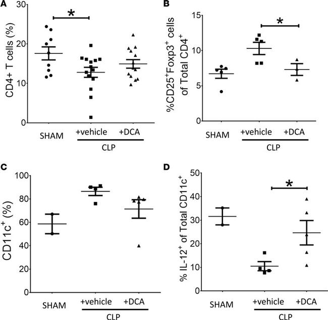 CD4 Antibody in Flow Cytometry (Flow)