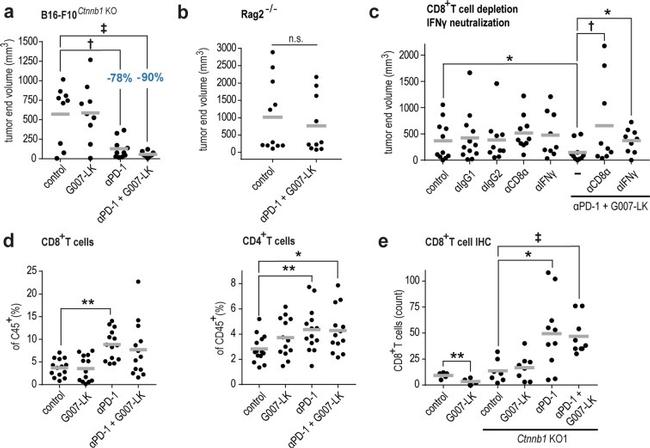 CD45 Antibody in Flow Cytometry (Flow)