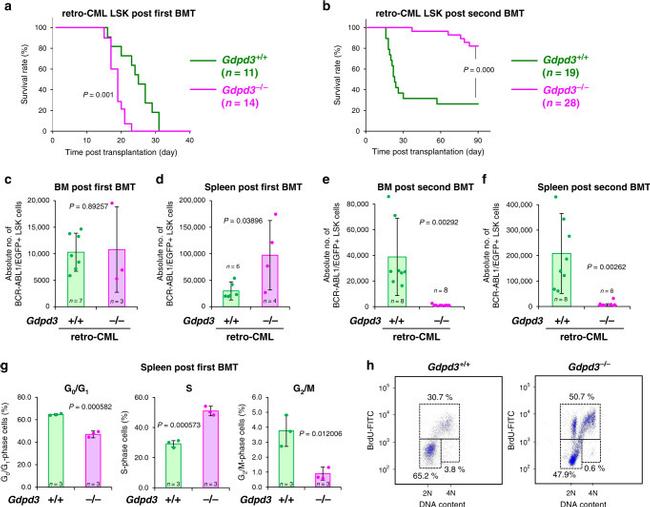 CD4 Antibody in Flow Cytometry (Flow)