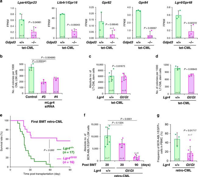 CD8a Antibody in Flow Cytometry (Flow)